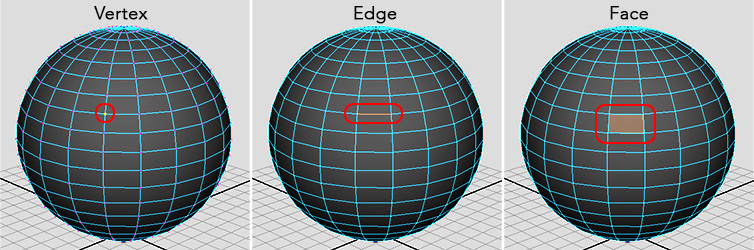 Hasil gambar untuk komponen face 3d