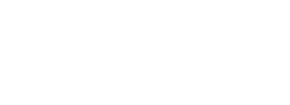 Program IDS inclusiv