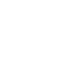 Icon Cybersec-04 Icon Cybersec-04