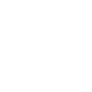 Icon Cybersec-12 Icon Cybersec-12